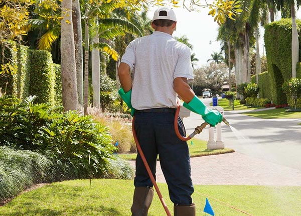 About Arcadia CA Pest Control Pros